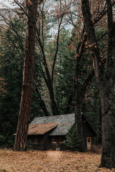 Construction d'un logement : pourquoi opter pour une maison en bois kit ?