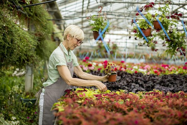 Comment créer un jardin fleuri tout au long de l'année ?