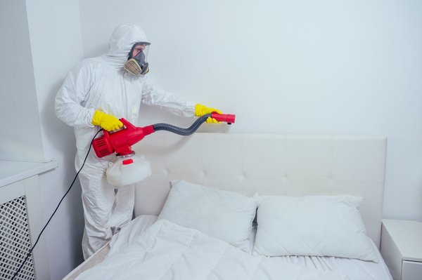 Comment garantir l’efficacité d’un traitement anti-punaises de lit à long terme ?